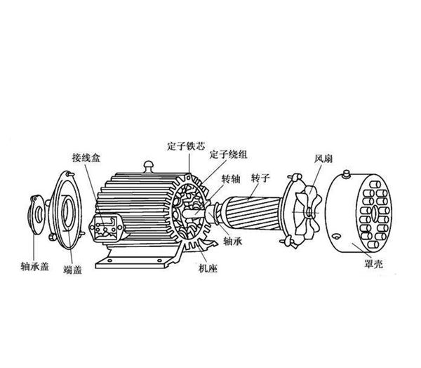 消泡器用电机.png