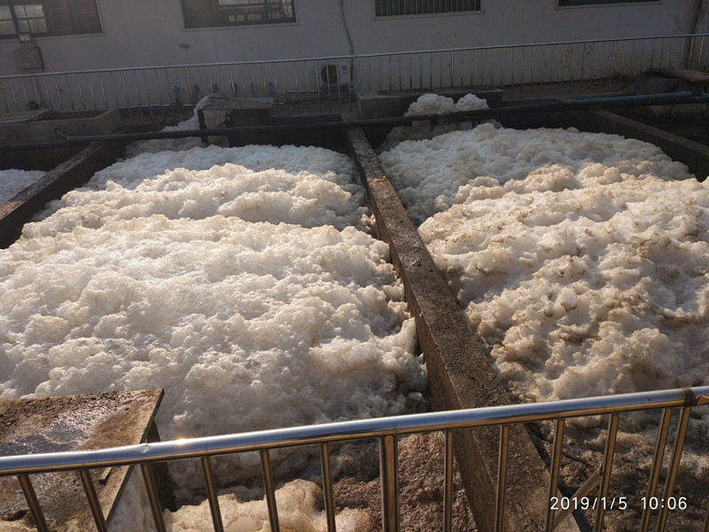 屠宰场污水泡沫